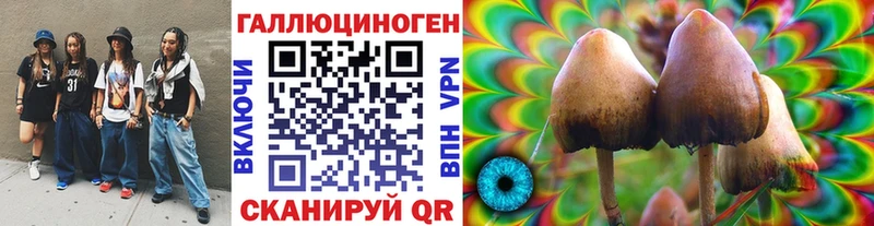 купить   Партизанск  ссылка на мегу вход  Псилоцибиновые грибы Cubensis 
