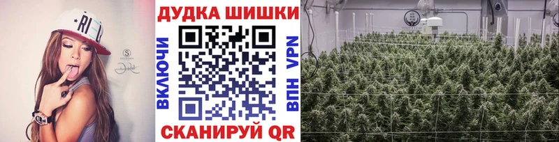 Шишки марихуана план  Партизанск 